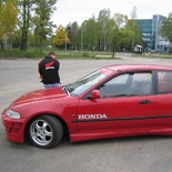 Žvejas(-ė) ancevicius