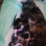 Žvejas(-ė) banys.danielius