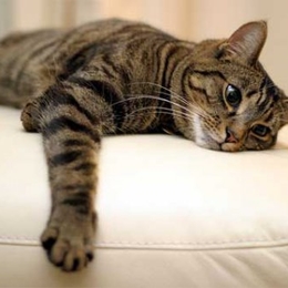 Žvejas(-ė) Vobleriukas