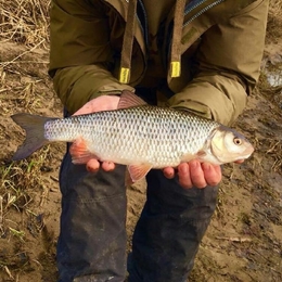 Žvejas(-ė) bestbite