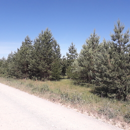 Žvejas(-ė) justas.klinga