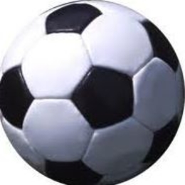 Žvejas(-ė) vilnius.vmi