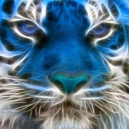 Žvejas(-ė) kimba.kimba