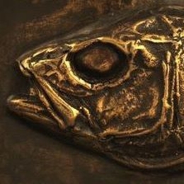 Žvejas(-ė) bronzinezuvis