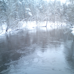 Žvejas(-ė) Magallon