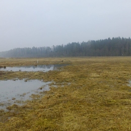 Žvejas(-ė) barakas