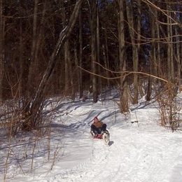 Žvejas(-ė) mangustas