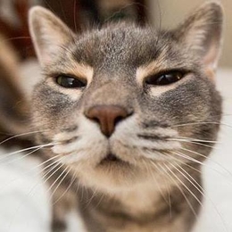 Žvejas(-ė) Lapinskas