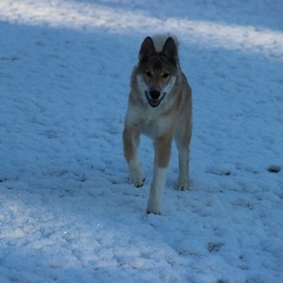 Žvejas(-ė) aleksandr.kazinec