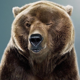 Žvejas(-ė) myndos.d