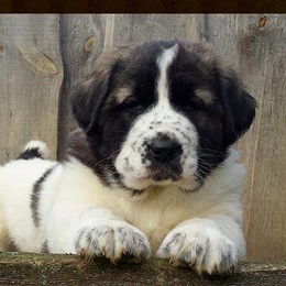 Žvejas(-ė) darius.75383