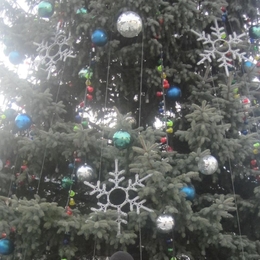 Žvejas(-ė) aleksas.ok06