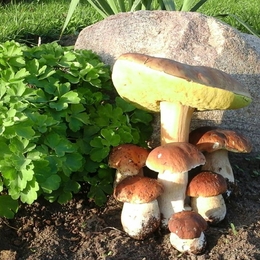 Žvejas(-ė) irma.markeviciut