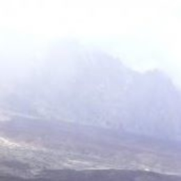 Žvejas(-ė) darius.vos