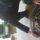 marcius