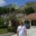 sterle
