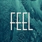 Feel (Fe El)