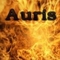 auris333 (Auris Pauliukevicius)