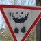 pandakiller (Remigijus Panda)